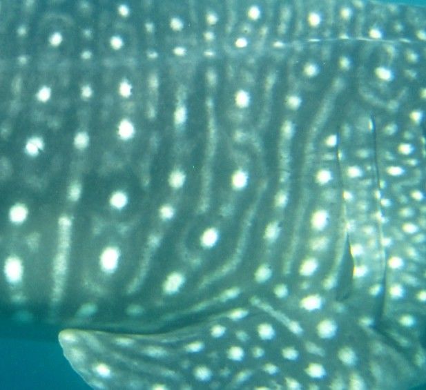 dc33926d-4872-487a-b441-9cc53de1c370