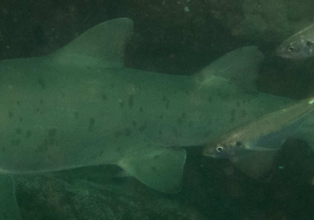 7e04e88c-2b81-4d5b-845c-03ddc57107c2