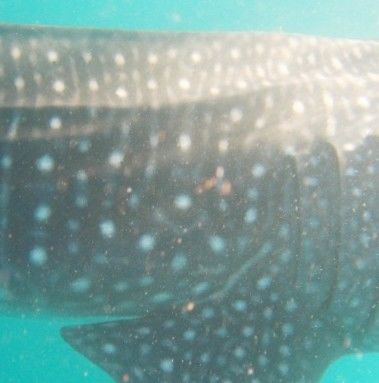 ac45def7-98e6-4d19-a7b2-57d5c7bf9b06