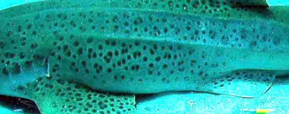 d5116b24-29e5-4177-9e21-6c71c19ddfee