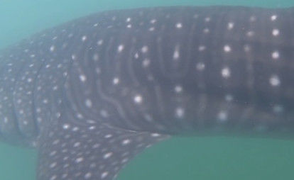 596418bf-a1bb-40fc-a1a9-039258d678e9