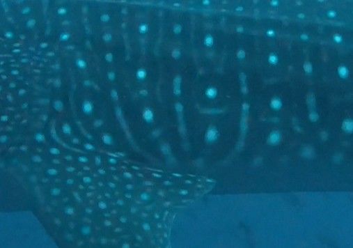 685f3ee9-d7b5-437f-98e8-0d5afd6021c4