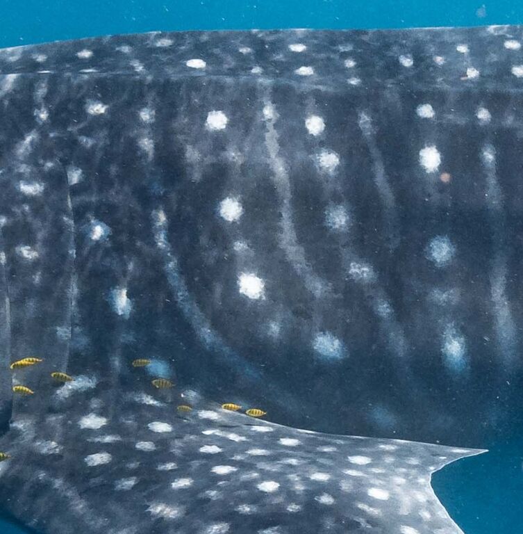 0b509d17-216b-4044-8f74-9876e16b5a12