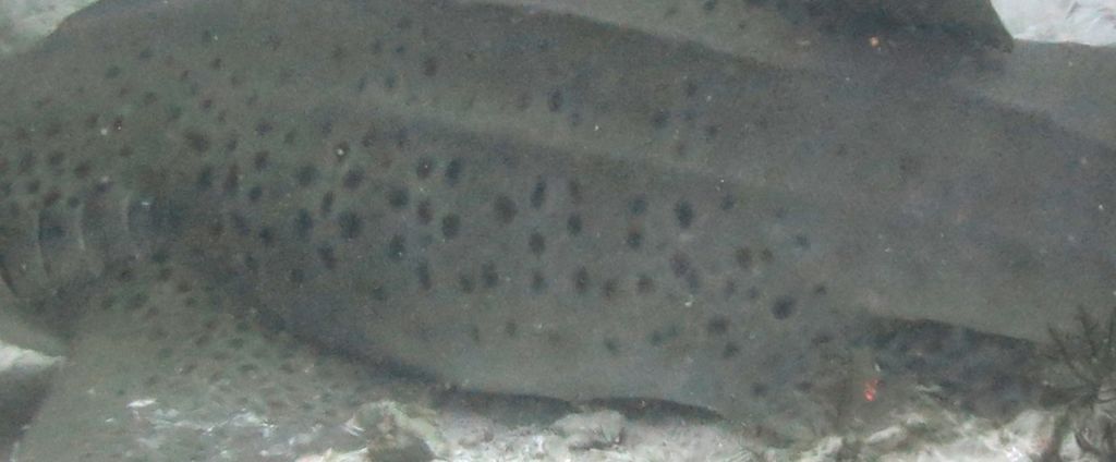 e13b6e51-0224-49cb-b80e-e9e92a43ae94