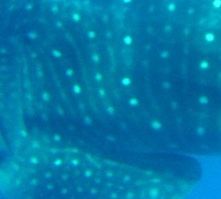 6e6a4e2d-5cc0-49ed-a8b3-567a54df4f0f