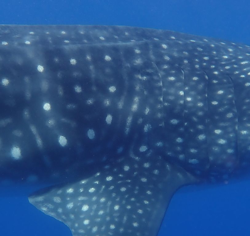 812c85b4-b586-48bb-bb6f-409704b6ac63