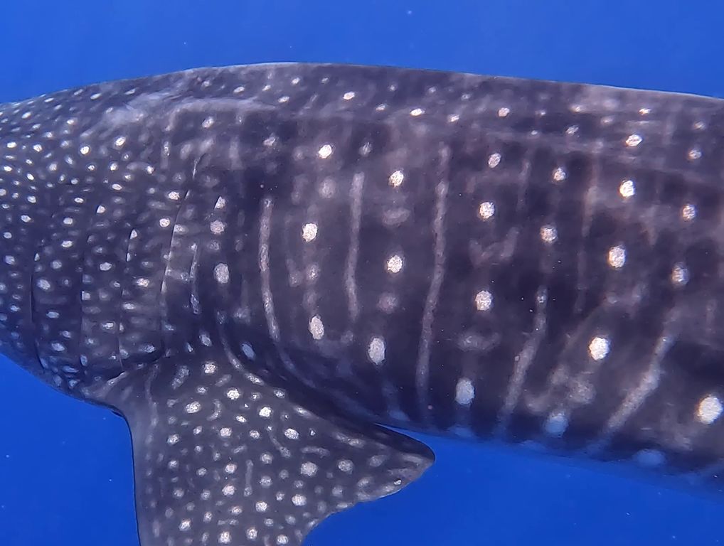 812c85b4-b586-48bb-bb6f-409704b6ac63