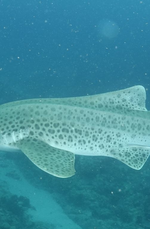 0dc6a00c-7176-4625-ba20-164aab07ccf6