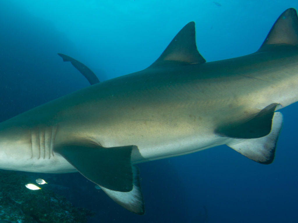 99597b25-59c3-45b6-8ca7-df8dc4ae5638