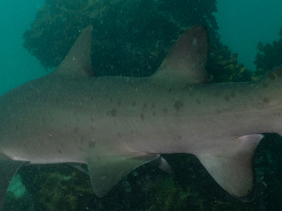 f805e1ed-14ba-42ee-bf7d-83b6d3f49131