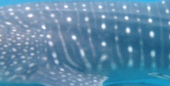 cfd44b72-59cb-4896-958d-d547eaa87696