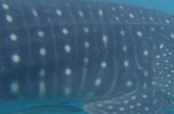 cfd44b72-59cb-4896-958d-d547eaa87696