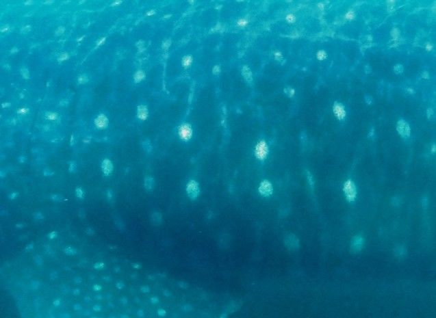 b1e76e4e-461b-4fff-93a5-8374d84732bd