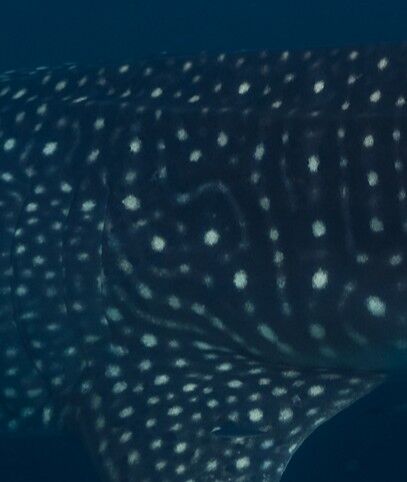 d6545596-3cef-4e1b-9554-22a3d88fdf3a