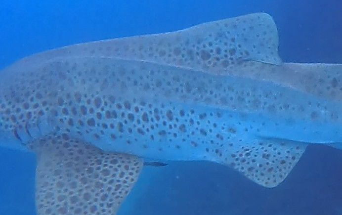 50e8d151-4727-4b3c-8077-206868efc5fe