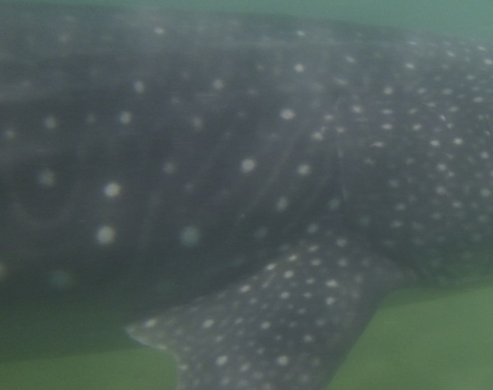 dcf0deeb-ae1e-4847-a581-daf54955c022