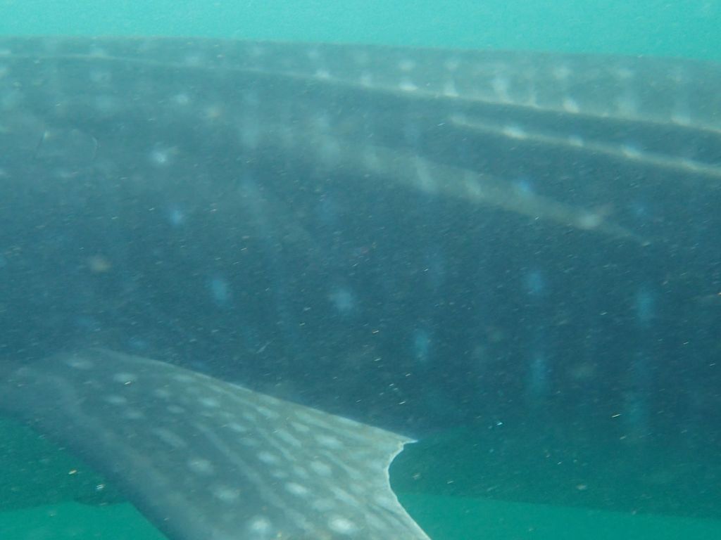 f3278745-e161-4d36-b13e-73c4c566d212