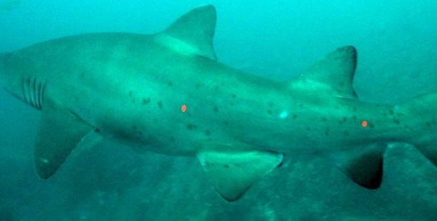 895a7791-f384-46e1-89df-1c6a776ddf67