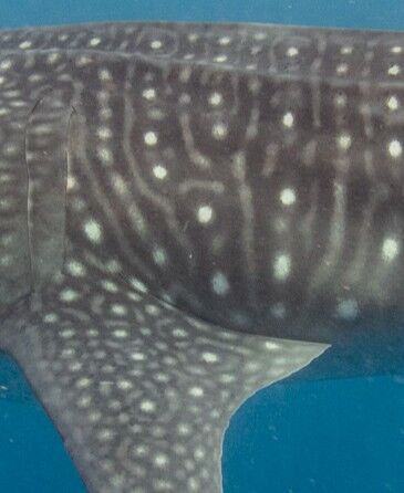 87a52f69-d3f0-47bd-ab34-56727b60e9dc