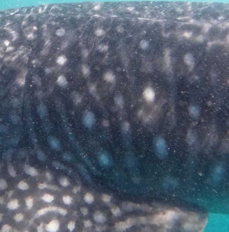 288f5405-8abf-469f-941a-a772c4f1f070