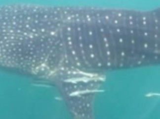 11188227-63c6-4dde-84aa-34e74db431ed