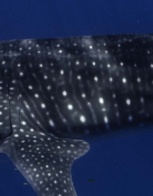 466bda85-1b92-49c5-9fdc-3e5d1f10ed4c