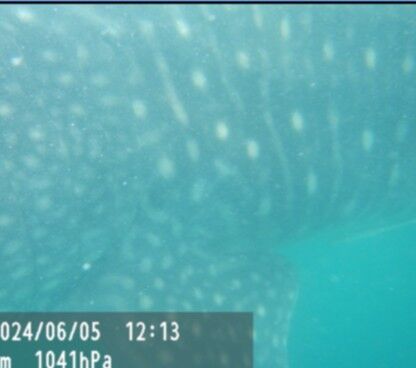 91c9de9c-a9f5-4ec6-9b0d-8214d8f054e2