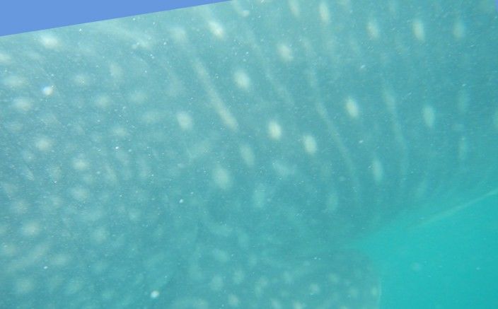 91c9de9c-a9f5-4ec6-9b0d-8214d8f054e2