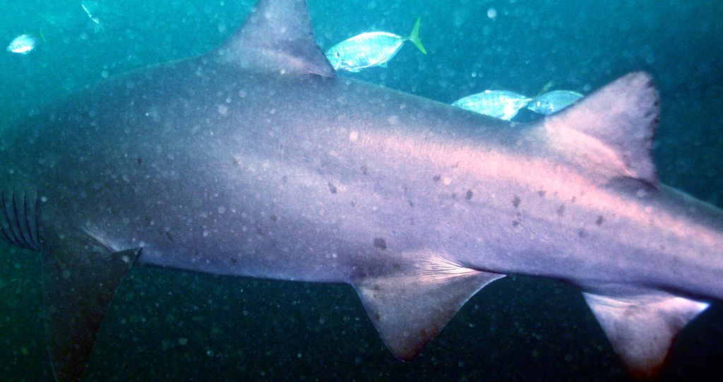 461ba38f-68d6-4ee4-8e27-ec90f82400ec