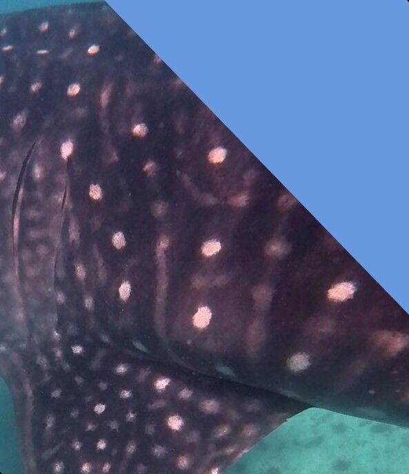 3cf20372-3d43-49b5-98e9-620511270ef3