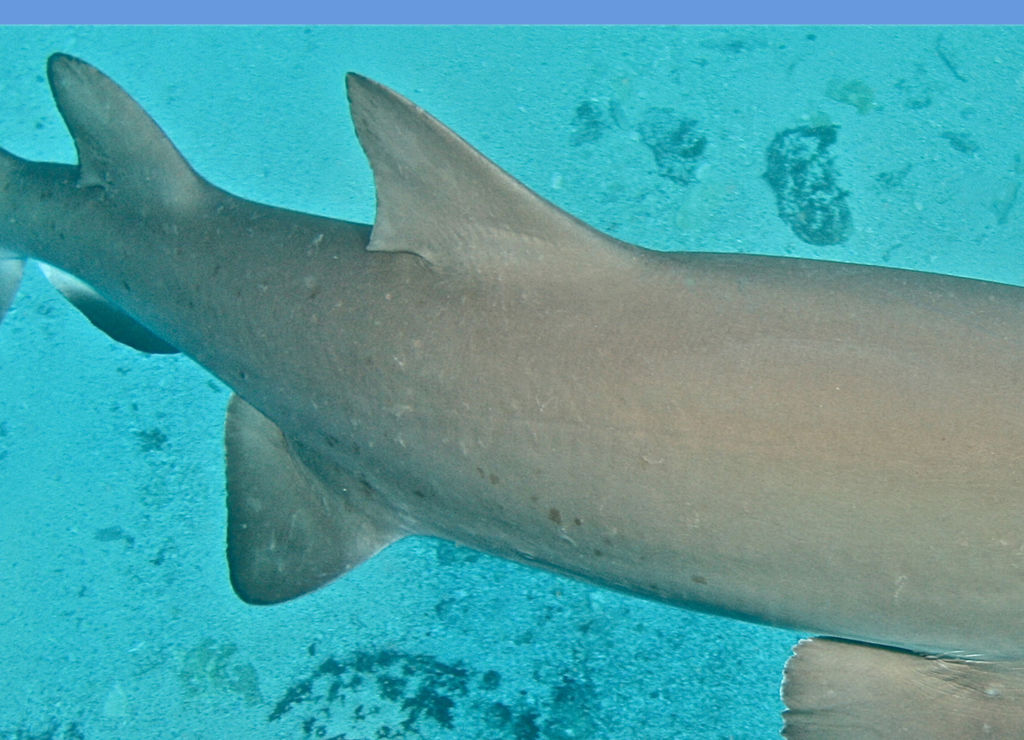 994263e4-2c71-44d6-ac4a-61b01029bc41