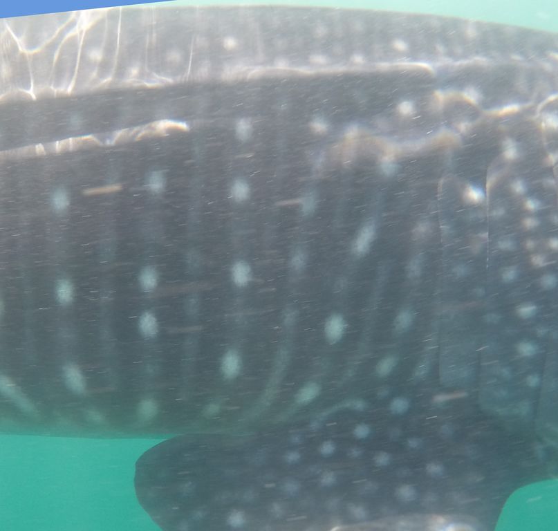 6846545b-4031-4f81-8544-f74d95eb6775