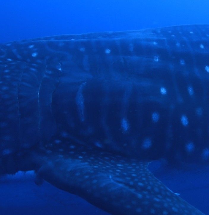 6d15b84b-baff-490e-b3a8-d6a24d94452b