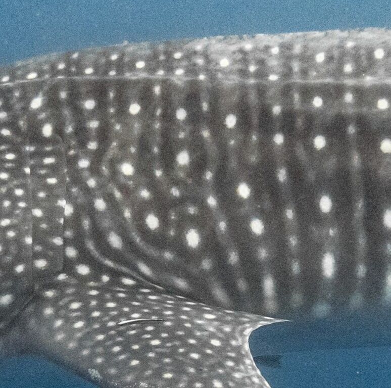 d1b71589-2e99-4f47-a1cd-7c7dc63663a9