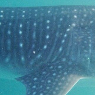 c35f0b08-7423-4d66-8ad0-bc73e8d9581f