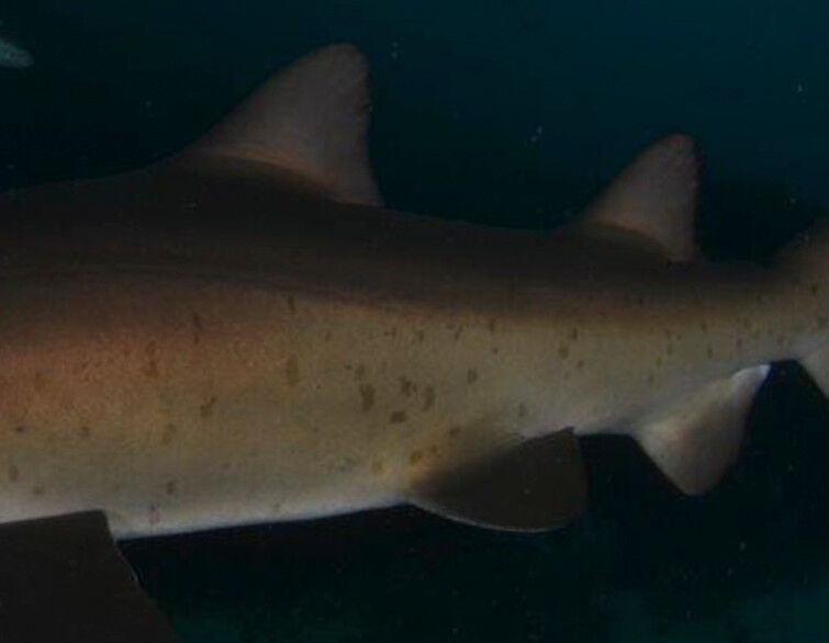 11d0d9fd-674a-4a20-af5a-17d234fcdaea