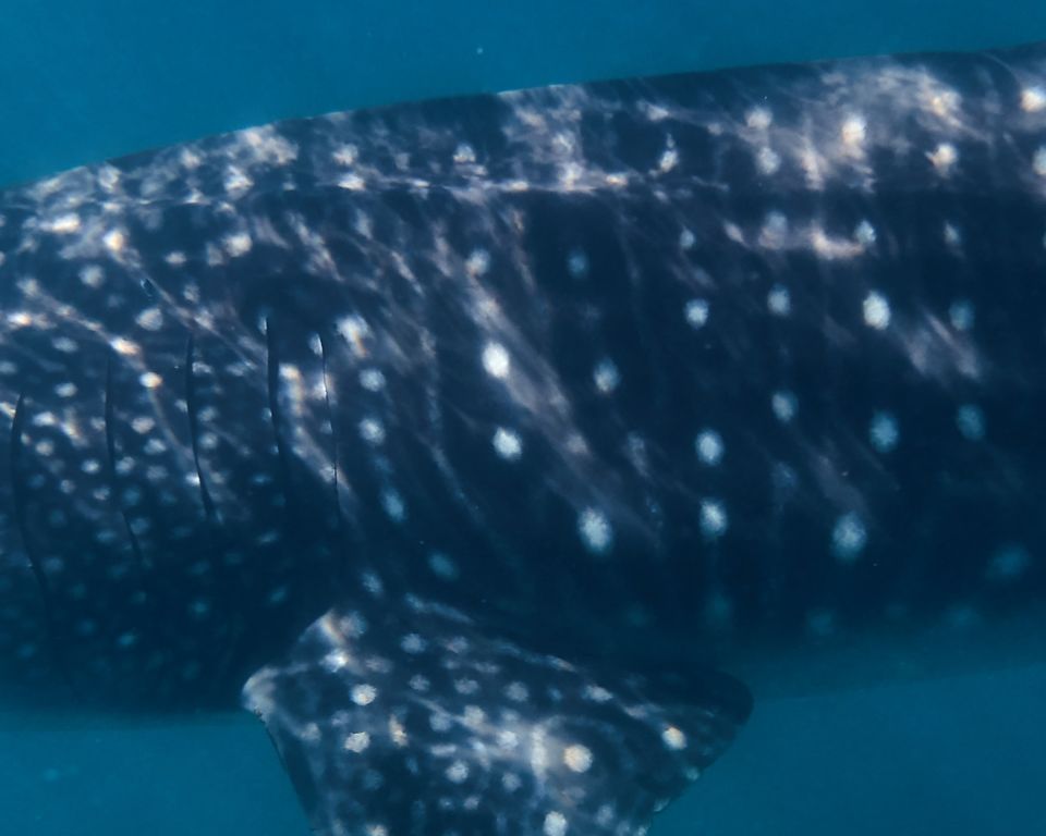 d9849fca-e5fd-4d84-8ce4-48a1616dfcd9