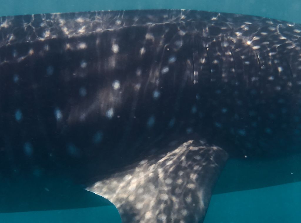 d9849fca-e5fd-4d84-8ce4-48a1616dfcd9