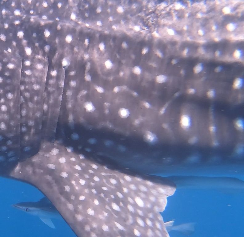 8165ff56-3476-4b0b-b10f-5b77fc71526e