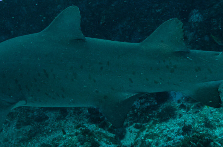 a68beca0-713e-4f9c-8386-74d14c616dbb