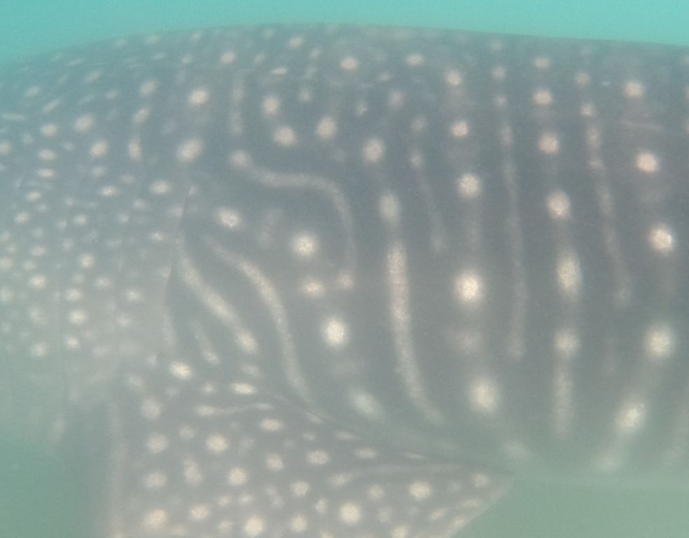 39c73da5-1e11-4fda-9d53-77273f6e23b7