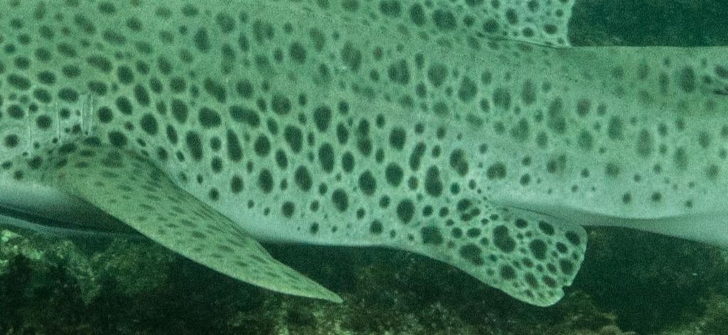 7c6a1355-c866-4f11-b71a-22f799319afc