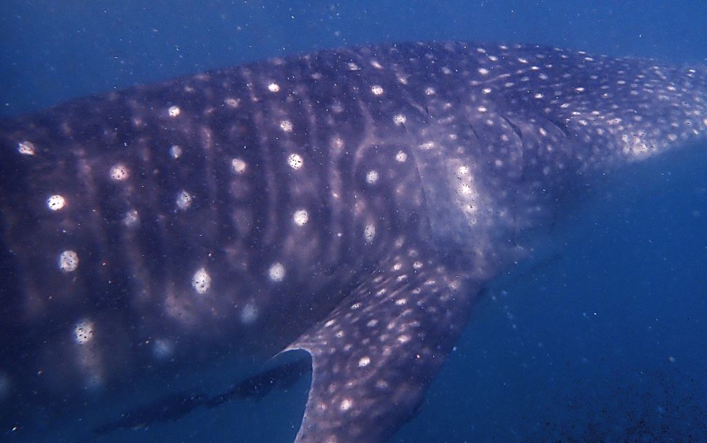 5a7a810b-5026-40a6-a5f8-0881163a652b