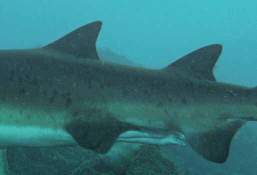 29033d5a-cdb0-4cb5-904f-b04cffee3a65