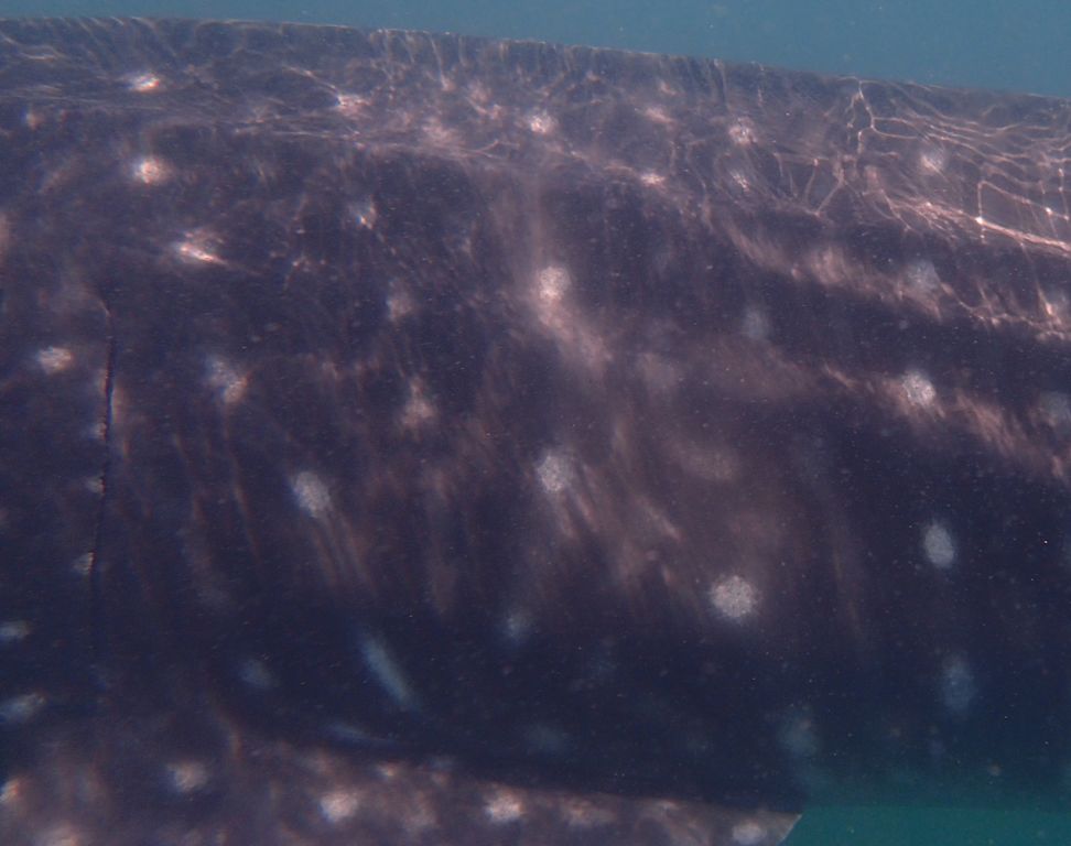 221e2a1b-9d07-431d-9b8e-87552b19e02d