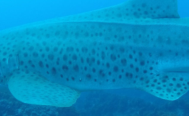 abc533f2-13df-4a77-b427-977f529d3560