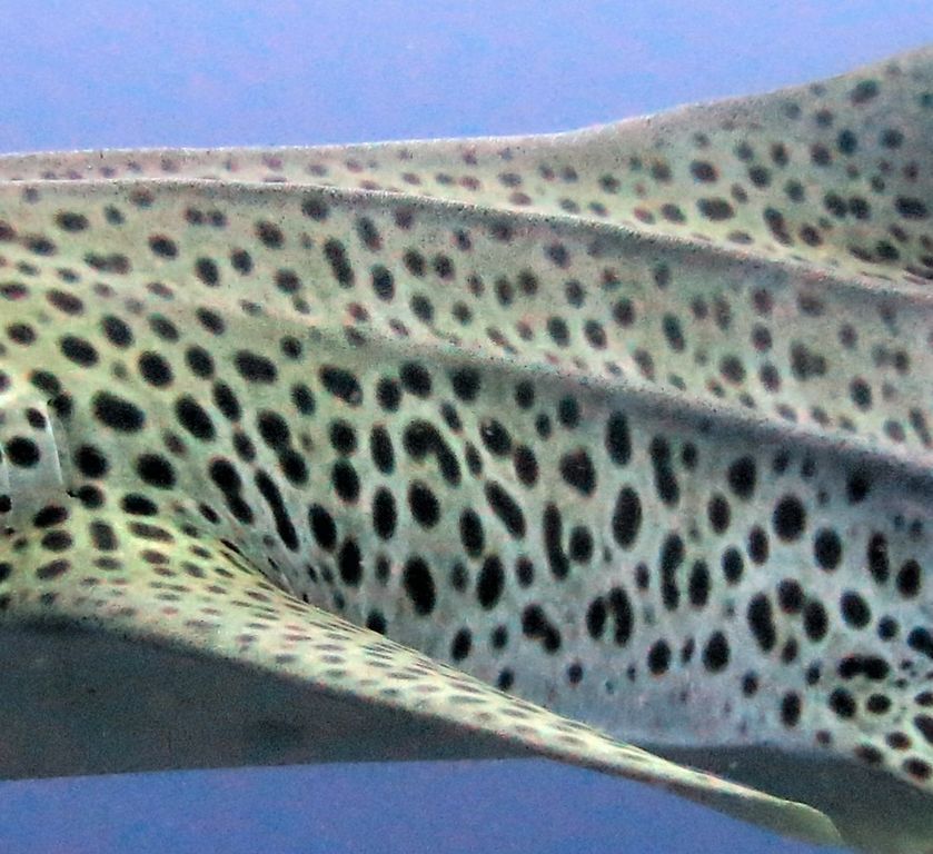 434b9435-747e-401b-b310-c3e9177aa84f