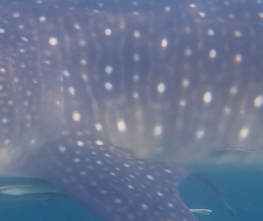 19591ea3-d2ed-42b5-9f14-cd35de736167