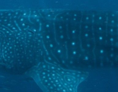 fd1f8020-6f5e-44f3-ace4-2416eba5e1ea