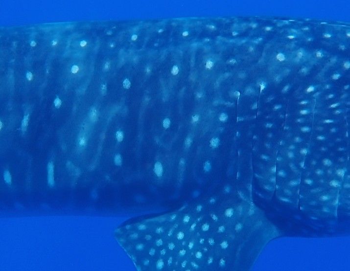 7586ef24-a38f-44bb-a2d1-0d28a6ec58f5